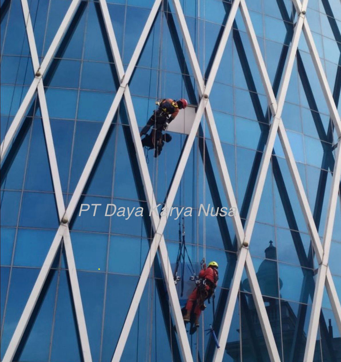 1. Cleaning & Maintenance